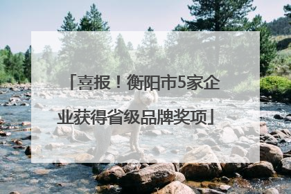 喜报！衡阳市5家企业获得省级品牌奖项