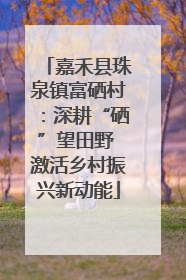嘉禾县珠泉镇富硒村：深耕“硒”望田野 激活乡村振兴新动能