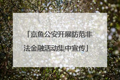嘉鱼公安开展防范非法金融活动集中宣传