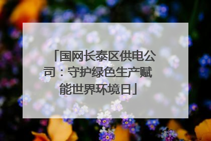 国网长泰区供电公司：守护绿色生产赋能世界环境日