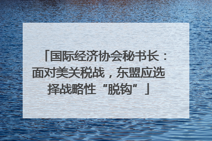 国际经济协会秘书长：面对美关税战，东盟应选择战略性“脱钩”