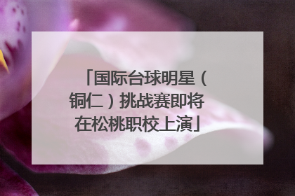 国际台球明星（铜仁）挑战赛即将在松桃职校上演
