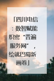 四川电信：数智赋能织密“普遍服务网”，绘就巴蜀新画卷