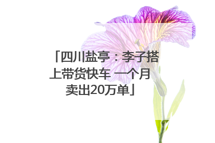 四川盐亭：李子搭上带货快车 一个月卖出20万单