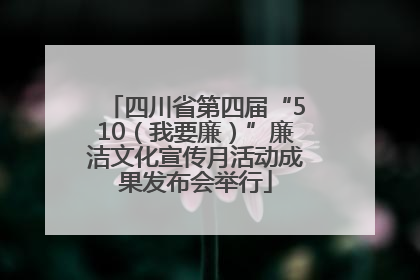 四川省第四届“510（我要廉）”廉洁文化宣传月活动成果发布会举行
