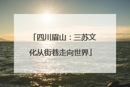 四川眉山：三苏文化从街巷走向世界