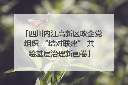 四川内江高新区政企党组织 “结对联建” 共绘基层治理新画卷