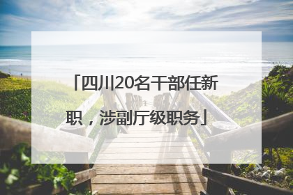 四川20名干部任新职，涉副厅级职务