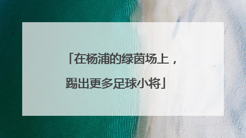 在杨浦的绿茵场上，踢出更多足球小将