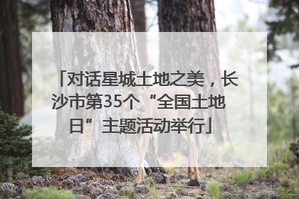 对话星城土地之美，长沙市第35个“全国土地日”主题活动举行