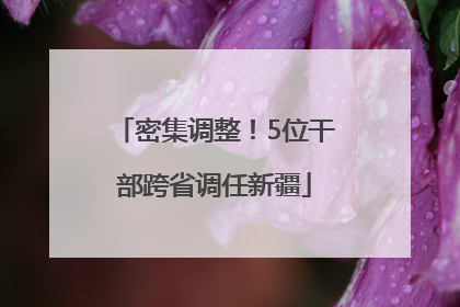密集调整！5位干部跨省调任新疆