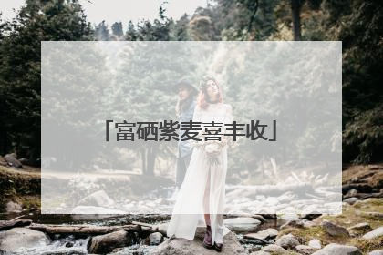 富硒紫麦喜丰收