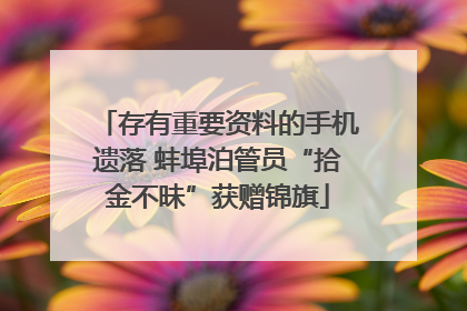 存有重要资料的手机遗落 蚌埠泊管员“拾金不昧”获赠锦旗