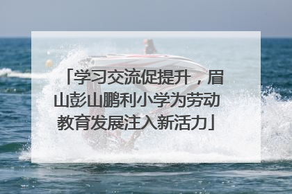 学习交流促提升，眉山彭山鹏利小学为劳动教育发展注入新活力