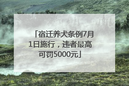 宿迁养犬条例7月1日施行，违者最高可罚5000元