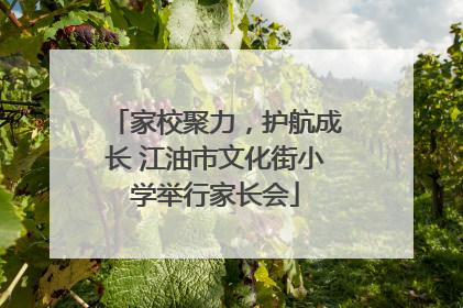 家校聚力，护航成长 江油市文化街小学举行家长会