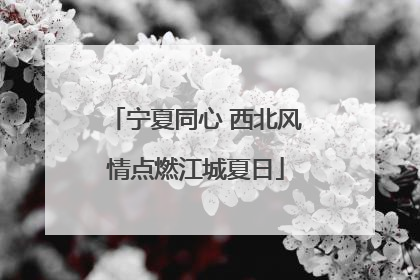 宁夏同心 西北风情点燃江城夏日