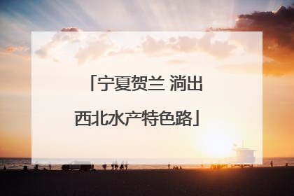 宁夏贺兰 淌出西北水产特色路