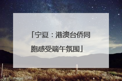 宁夏：港澳台侨同胞感受端午氛围