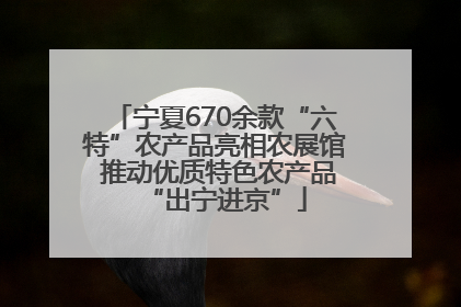 宁夏670余款“六特”农产品亮相农展馆 推动优质特色农产品“出宁进京”