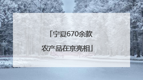 宁夏670余款农产品在京亮相