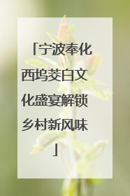 宁波奉化西坞茭白文化盛宴解锁乡村新风味