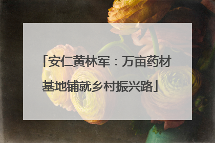 安仁黄林军：万亩药材基地铺就乡村振兴路