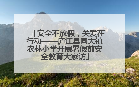 安全不放假，关爱在行动——庐江县同大镇农林小学开展暑假前安全教育大家访