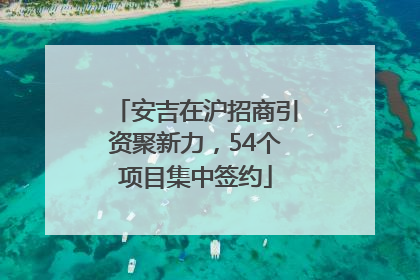 安吉在沪招商引资聚新力，54个项目集中签约