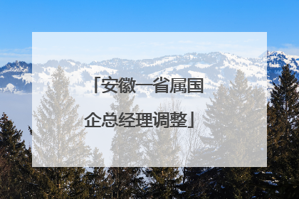 安徽一省属国企总经理调整