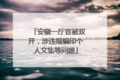 安徽一厅官被双开，涉违规编印个人文集等问题