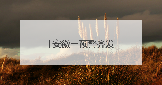 安徽三预警齐发！部分地区大雨到暴雨、局部大暴雨、8级雷暴大风