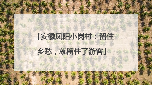 安徽凤阳小岗村：留住乡愁，就留住了游客