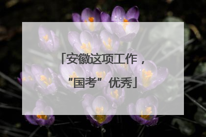 安徽这项工作，“国考”优秀