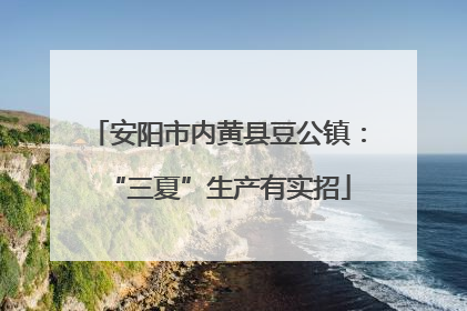 安阳市内黄县豆公镇：“三夏”生产有实招