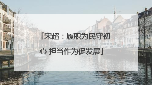 宋超：履职为民守初心 担当作为促发展
