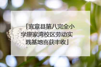 宜章县第八完全小学廖家湾校区劳动实践基地喜获丰收