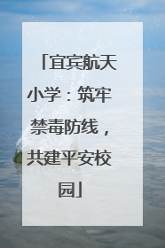 宜宾航天小学：筑牢禁毒防线，共建平安校园