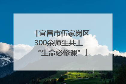 宜昌市伍家岗区300余师生共上“生命必修课”