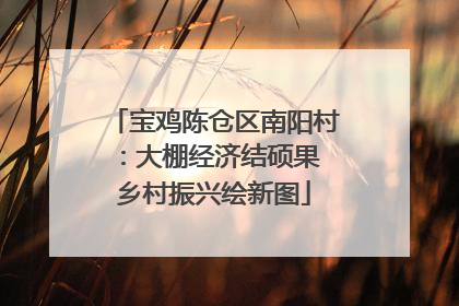 宝鸡陈仓区南阳村：大棚经济结硕果 乡村振兴绘新图