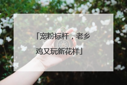 宠粉标杆，老乡鸡又玩新花样