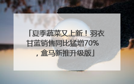夏季蔬菜又上新！羽衣甘蓝销售同比猛增70%，盒马新推升级版