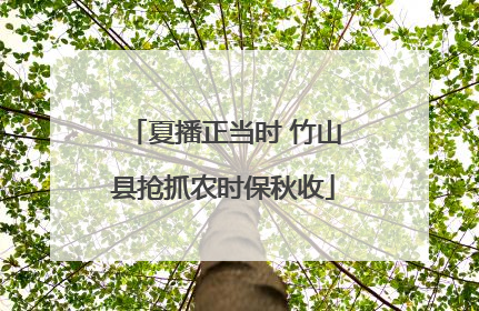夏播正当时 竹山县抢抓农时保秋收