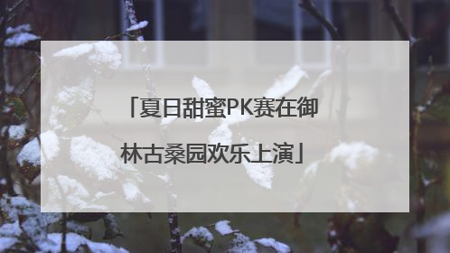 夏日甜蜜PK赛在御林古桑园欢乐上演