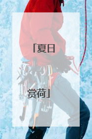 夏日赏荷