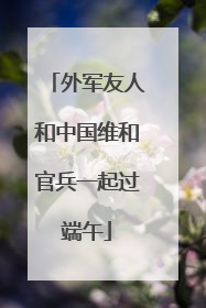 外军友人和中国维和官兵一起过端午