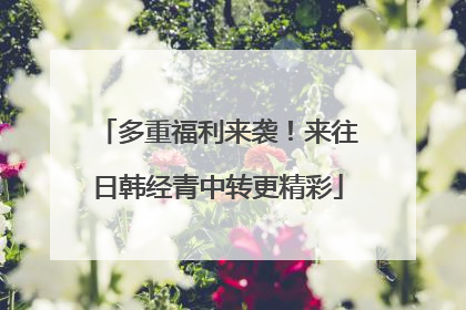 多重福利来袭！来往日韩经青中转更精彩