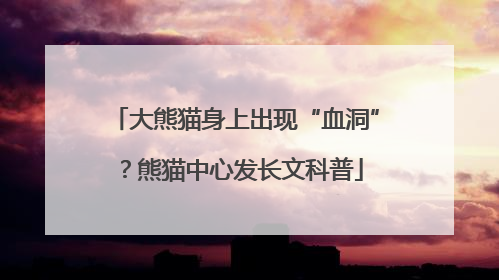 大熊猫身上出现“血洞”？熊猫中心发长文科普