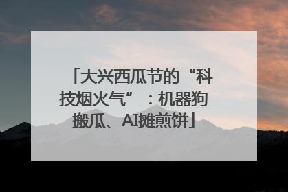 大兴西瓜节的“科技烟火气”：机器狗搬瓜、AI摊煎饼