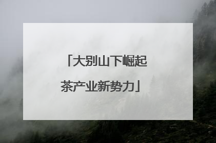 大别山下崛起茶产业新势力